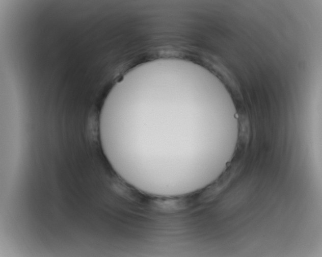 X0000115650419200911171446