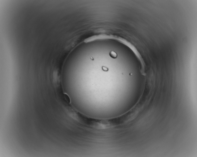 X0000115650420200911171446