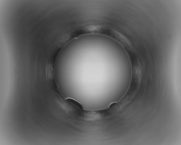 X0000115650421200911171446