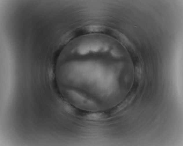 X0000115650422200911171446