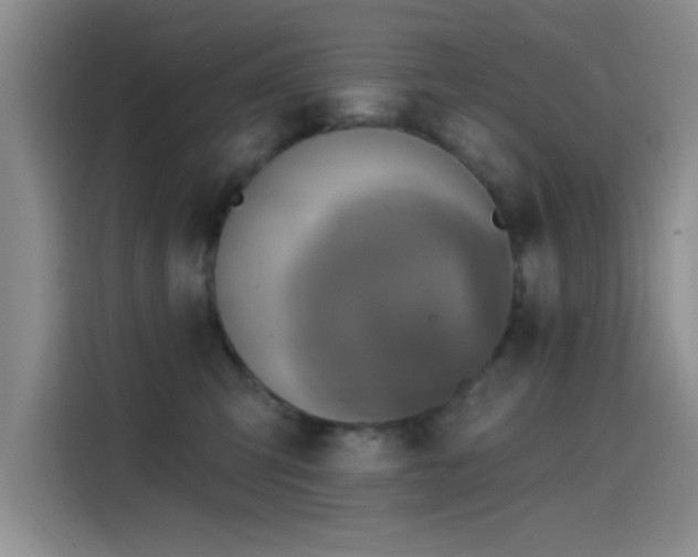 X0000115650423200911171446