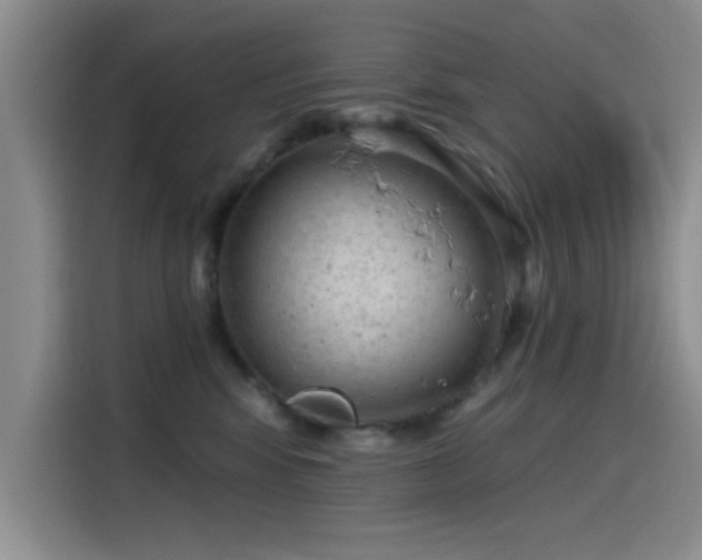 X0000115650424200911171446