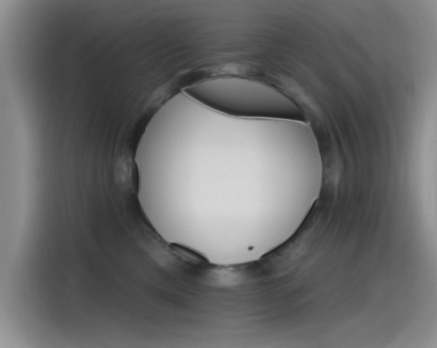 X0000115650425200911171446