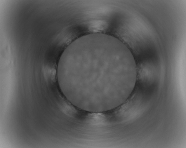 X0000115650427200911171446