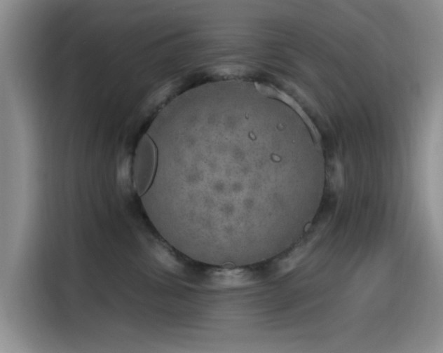 X0000115650428200911171446