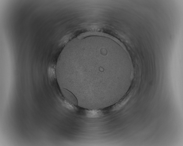 X0000115650432200911171446