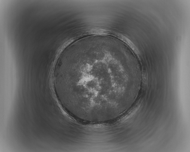 X0000115650433200911171445