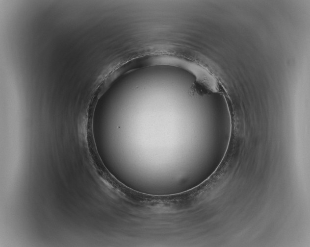 X0000115650434200911171445