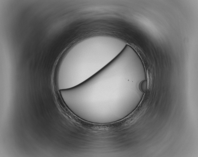 X0000115650435200911171445