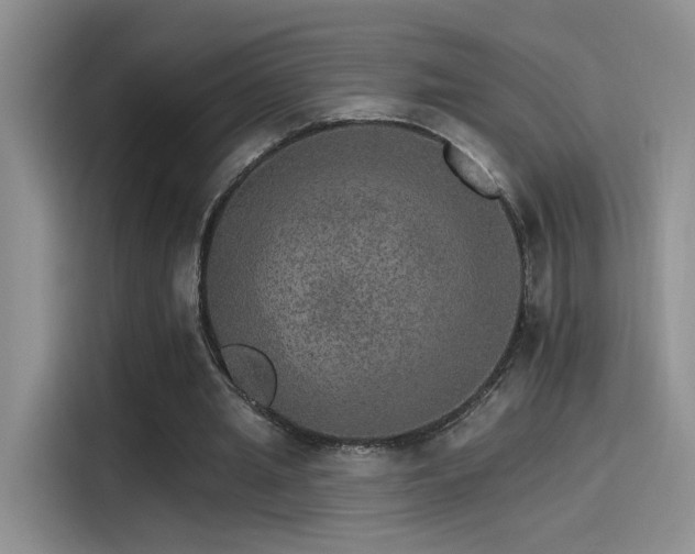 X0000115650437200911171445