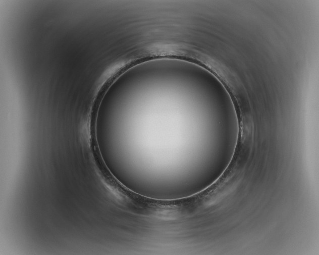 X0000115650438200911171445