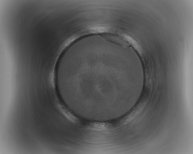 X0000115650439200911171445