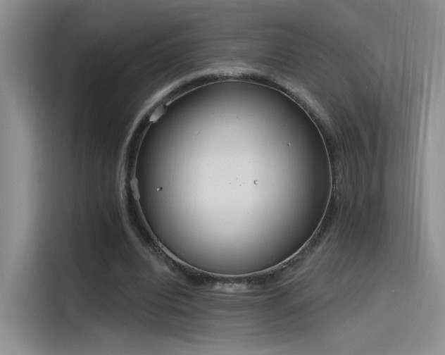 X0000115650440200911171445