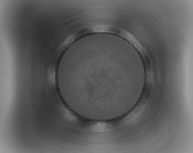 X0000115650441200911171445