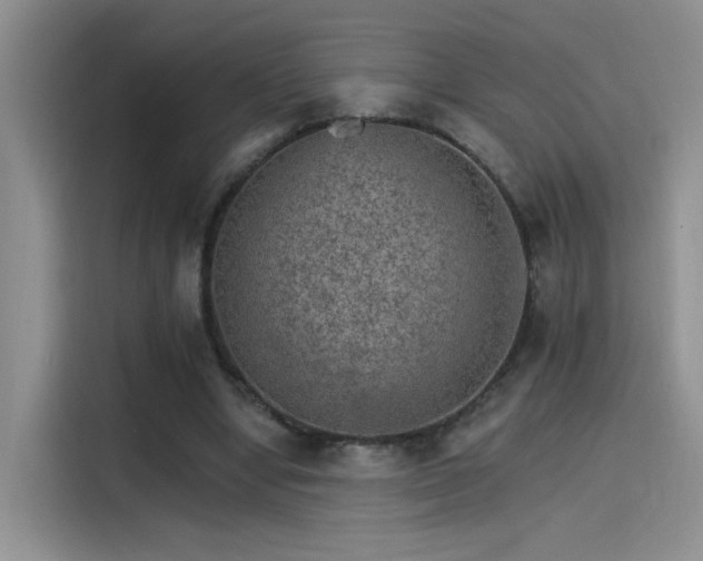 X0000115650442200911171446