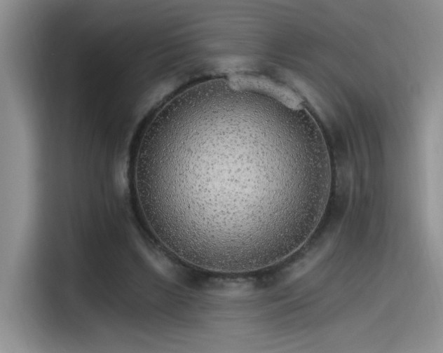 X0000115650443200911171446