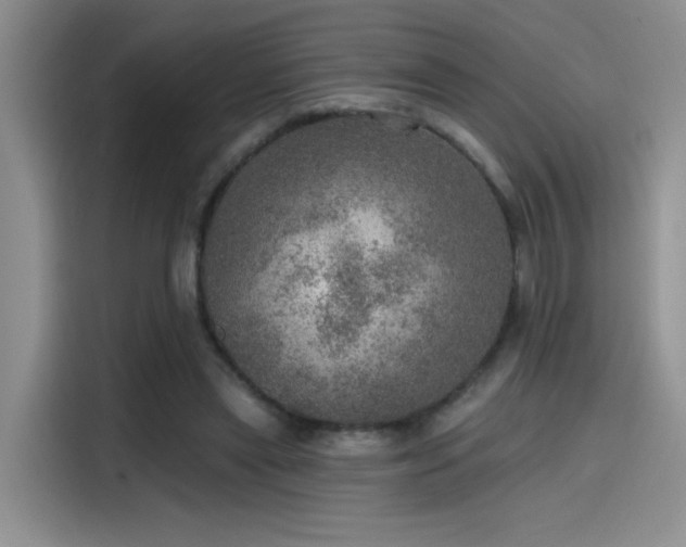 X0000115650445200911171446