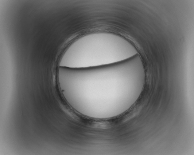 X0000115650446200911171446