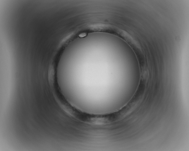 X0000115650448200911171446