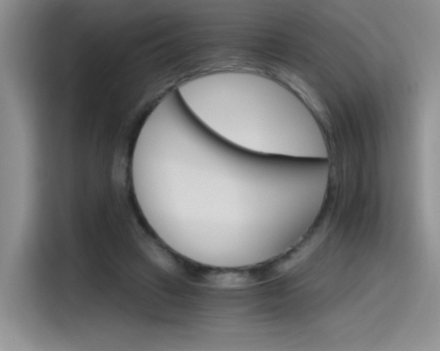 X0000115650449200911171446