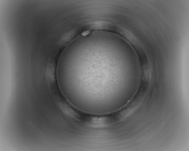 X0000115650450200911171446