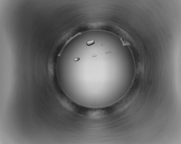 X0000115650452200911171446