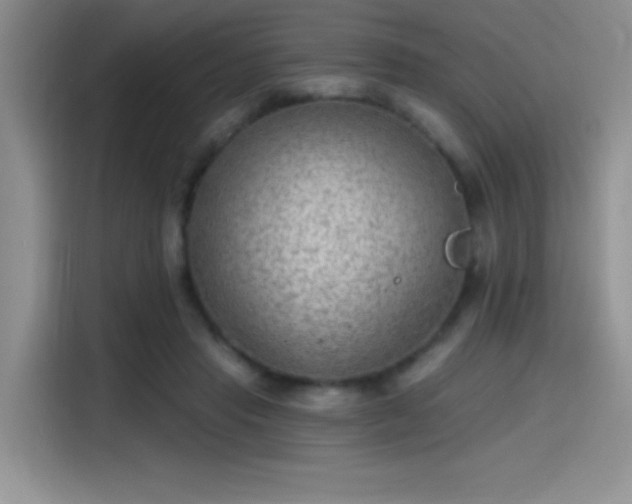 X0000115650453200911171446