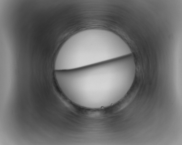 X0000115650454200911171446