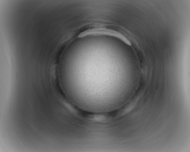 X0000115650462200911171446