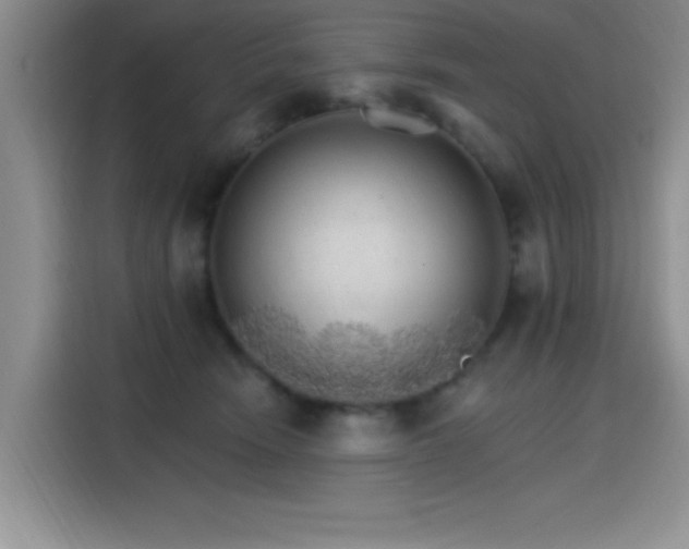 X0000115650466200911171446