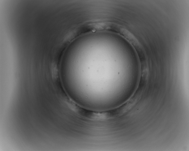 X0000115650469200911171446