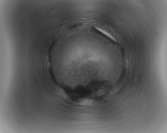 X0000115650471200911171446