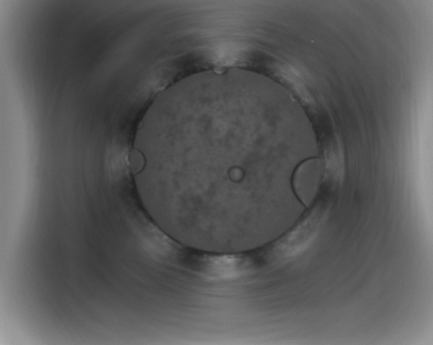 X0000115650473200911171446