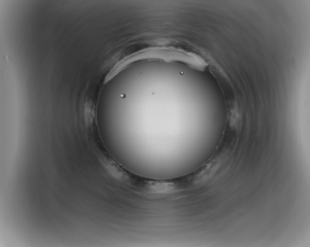 X0000115650476200911171446