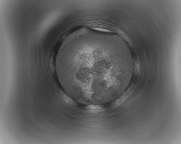 X0000115650477200911171446