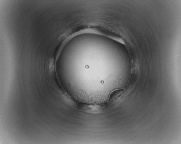 X0000115650478200911171446