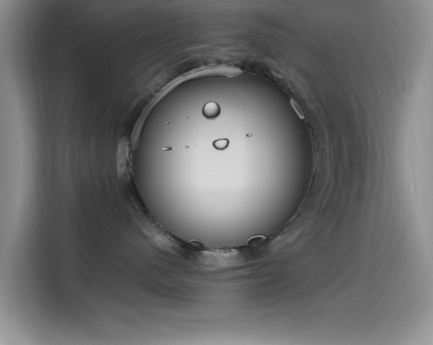 X0000115650480200911171446