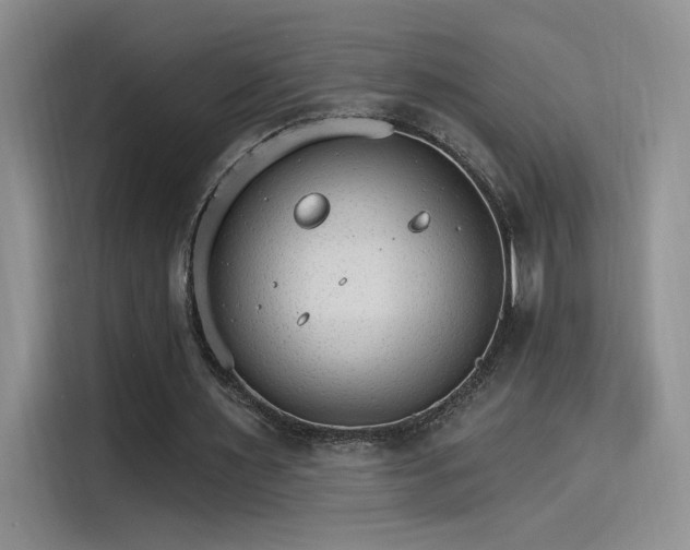 X0000115650483200911171445