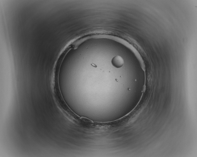 X0000115650484200911171445