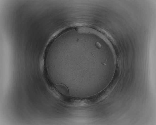 X0000115650488200911171445