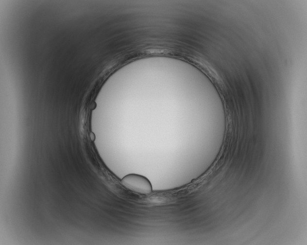 X0000115650490200911171445