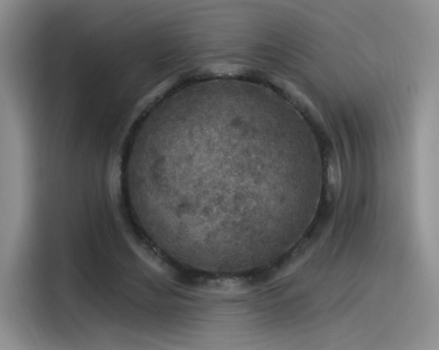 X0000115650492200911171445