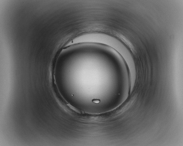 X0000115650493200911171445