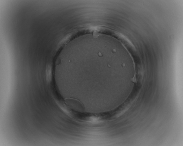 X0000115650496200911171445