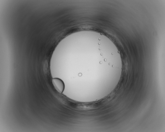 X0000115650498200911171445