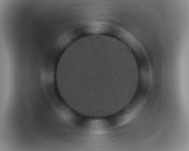 X0000115650499200911171445