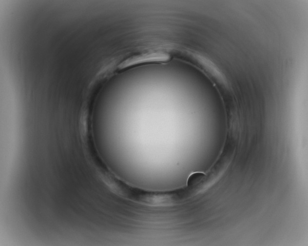 X0000115650501200911171445