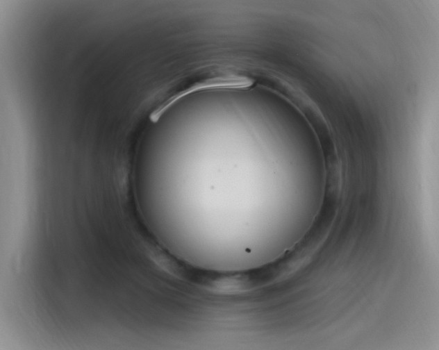 X0000115650505200911171445