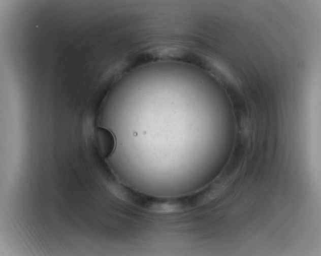 X0000115650506200911171445