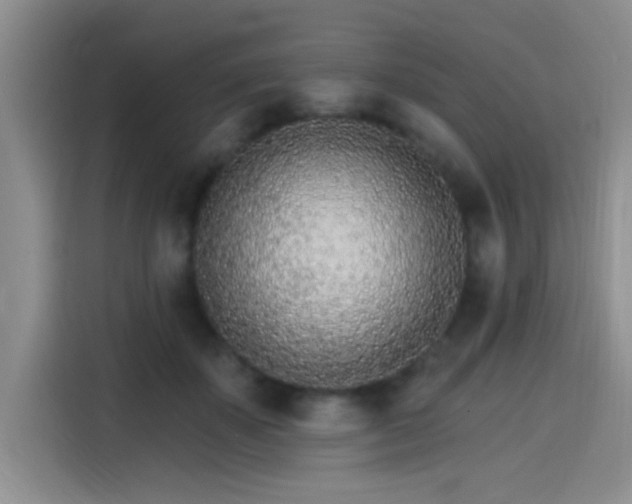 X0000115650507200911171445